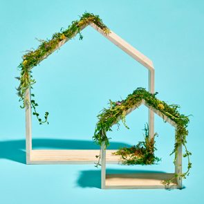 Wooden house frames hold lush green moss, standing on a bright blue background.