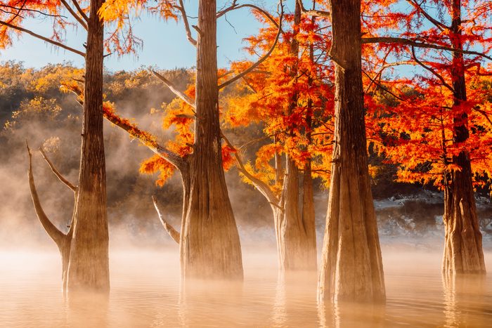 fall in louisiana