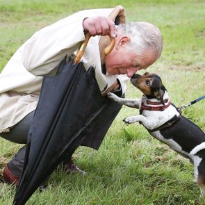 A man kneels interacting with a small dog on a leash in a grassy field, while holding a black umbrella.