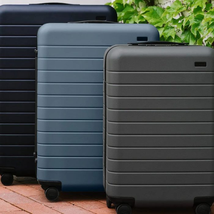 Three suitcases standing upright on brick pavement, surrounded by leafy green plants.