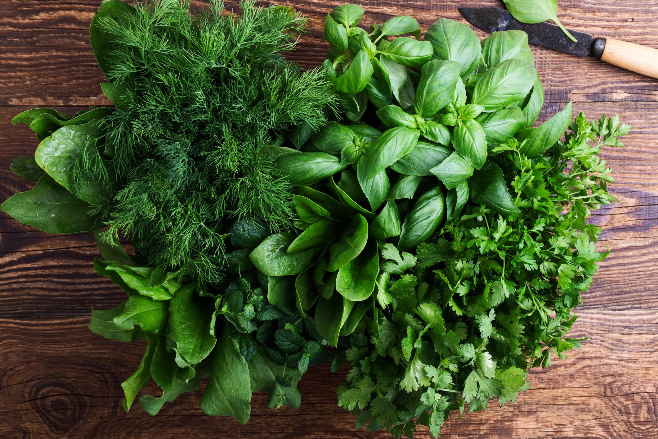 The Best Way to Store Fresh Herbs