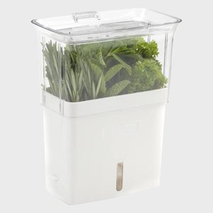 Plastic container holds fresh herbs upright, situated in a transparent top and white bottom section, on a plain background.