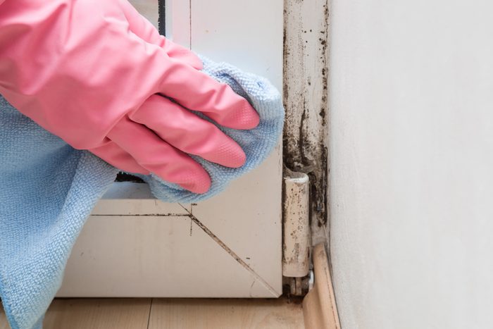 Mold in the window corner. Hand in rubber protective glove with microfiber cloth trying remove it.