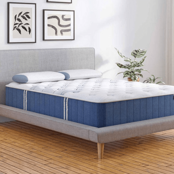 Bear Elite Mattress Ecomm Via Bearmattress.com