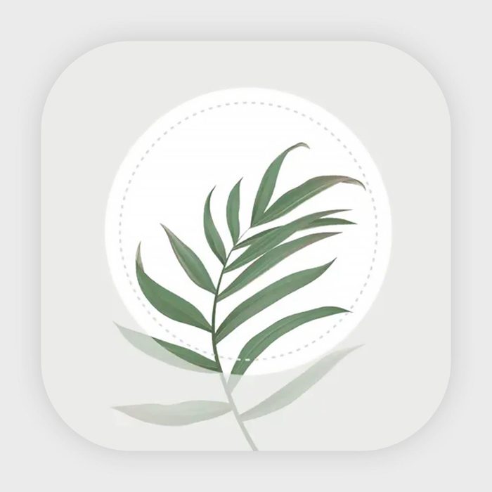 Green leaf sprig centered on a light background, encircled by a dotted line, creating a minimalist, botanical design.