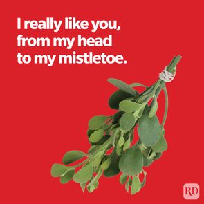 Mistletoe bundle is shown, tied with string, on a red background. Text reads: 