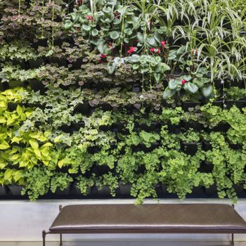 Vertical garden displays lush greenery; plants cascade downwards in organized rows above a simple bench on a wall.