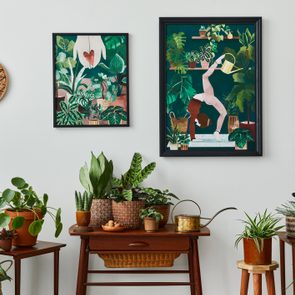 Framed botanical artwork hangs above a wooden table filled with various potted plants, creating a lush indoor garden setting.