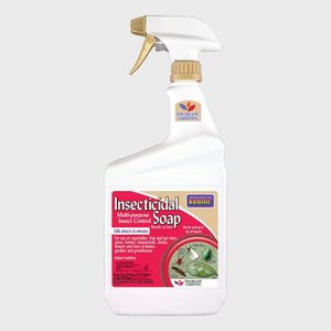 Spray bottle displays 