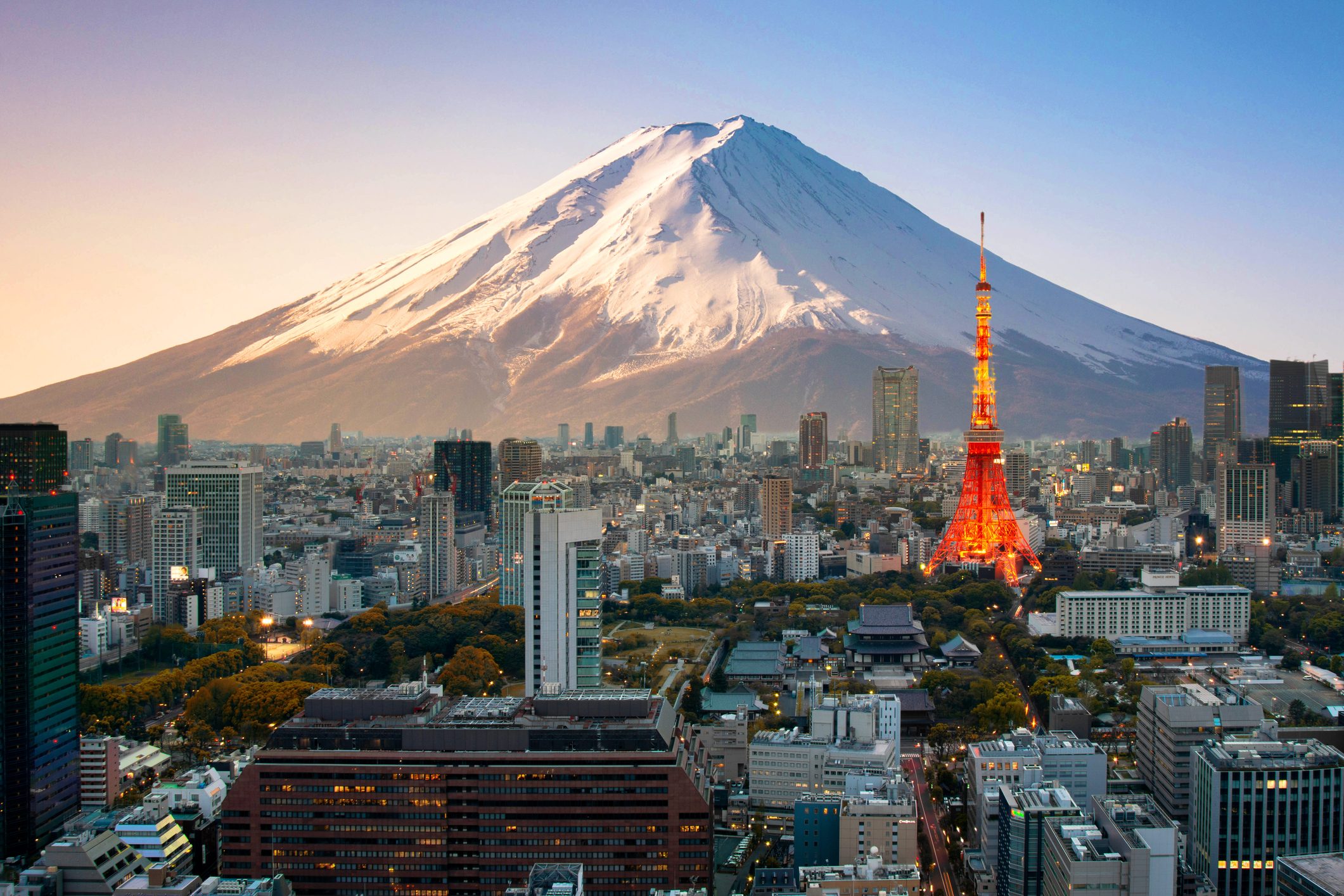 Mt. Fuji and Tokyo skyline