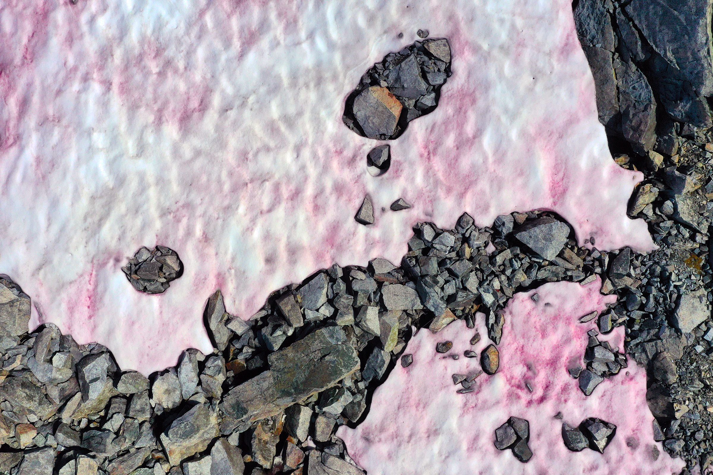 If You See Pink Snow, This Is What It Means