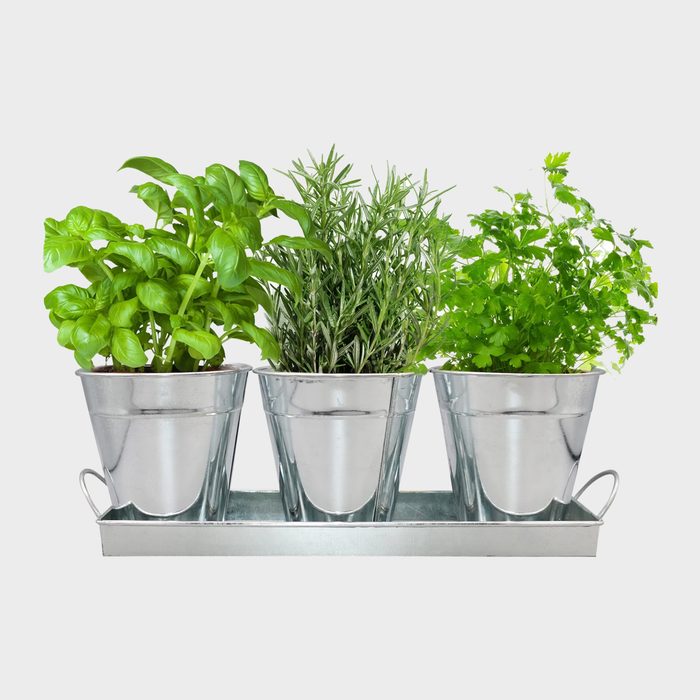 Metal pots hold various herbs, sitting on a rectangular tray against a plain, white background.