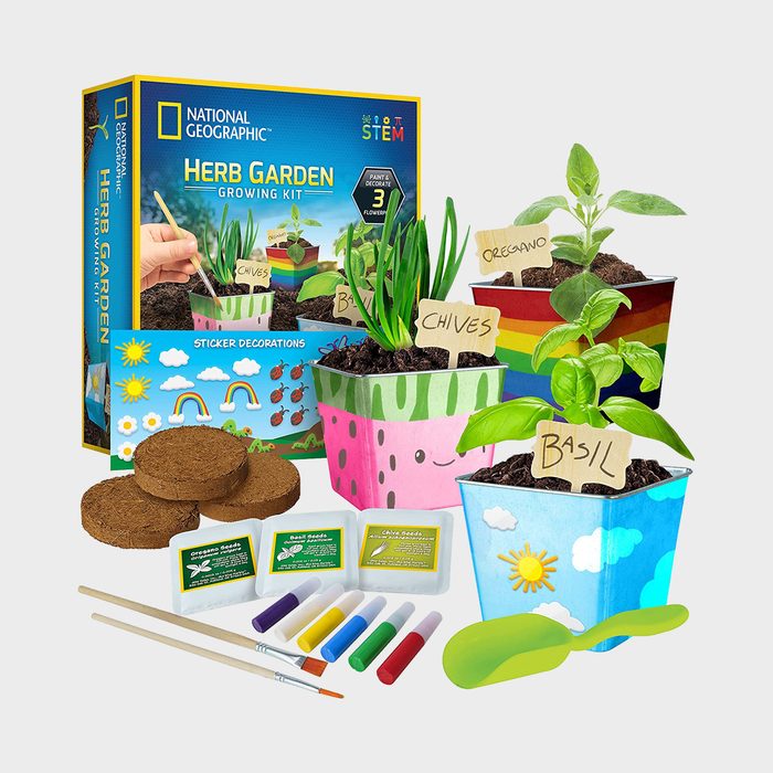 Herb garden kit containing colorful pots, seeds, soil disks, paintbrushes, markers, and stickers; set in a creative and educational context.