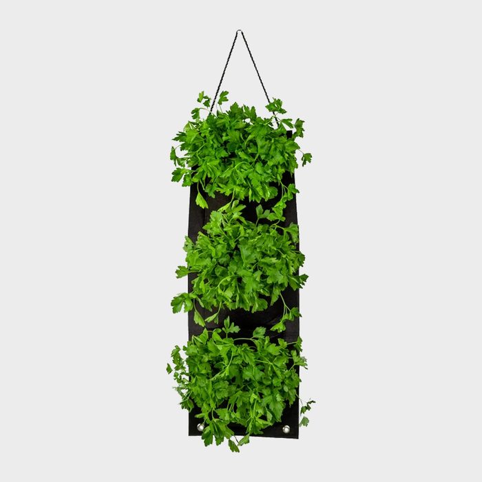 Green plants grow in three pockets on a vertical black fabric holder, hanging against a plain background.