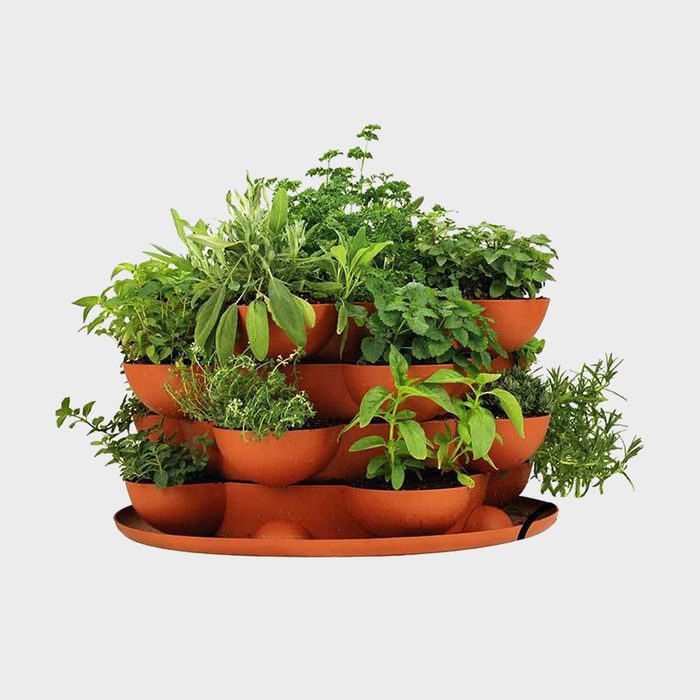 Stacked planters hold lush, green herbs in terracotta pots; displayed against a plain, light background.