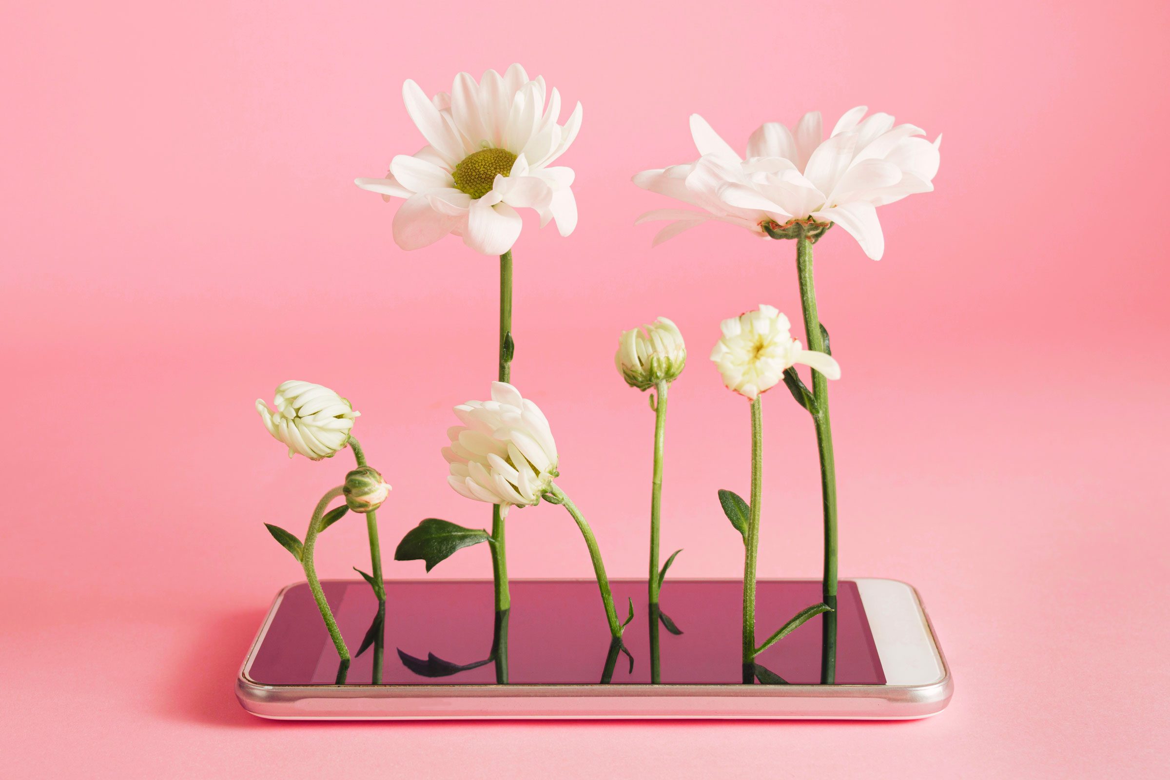 How to Do a Digital Detox So You Can Be More Present in Your Life