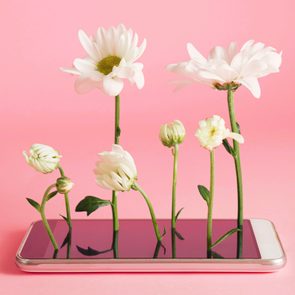 White flowers emerge from a smartphone, creating a surreal scene against a pink background.