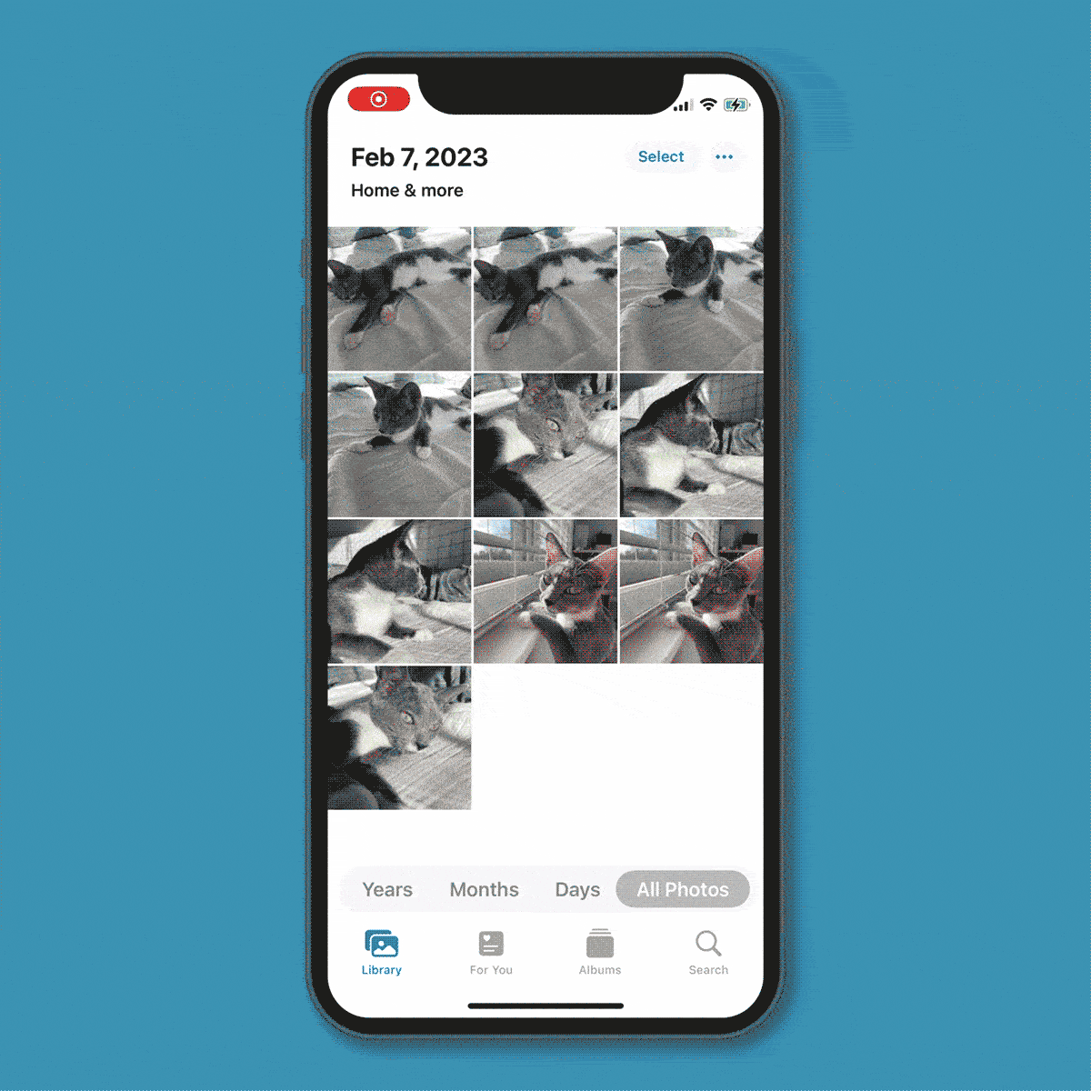 GIF showing how to find duplicates photo album on an iPhone