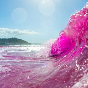 Pink wave curls with sunlight, set against a clear blue sky and distant coastline.