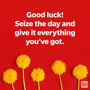Yellow dandelions stand against a bold red background, accompanied by motivational white text: 