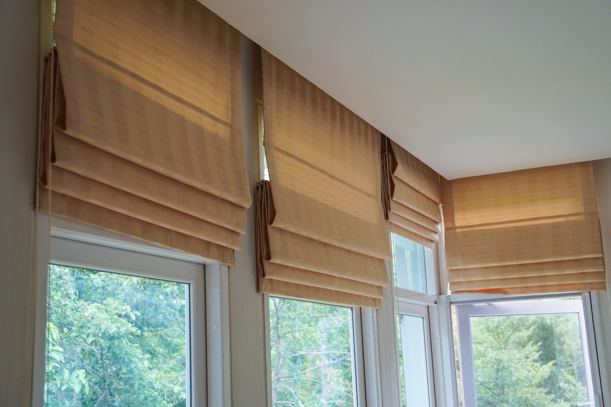 brown roman blind shade curtain tree forest mountain background living room