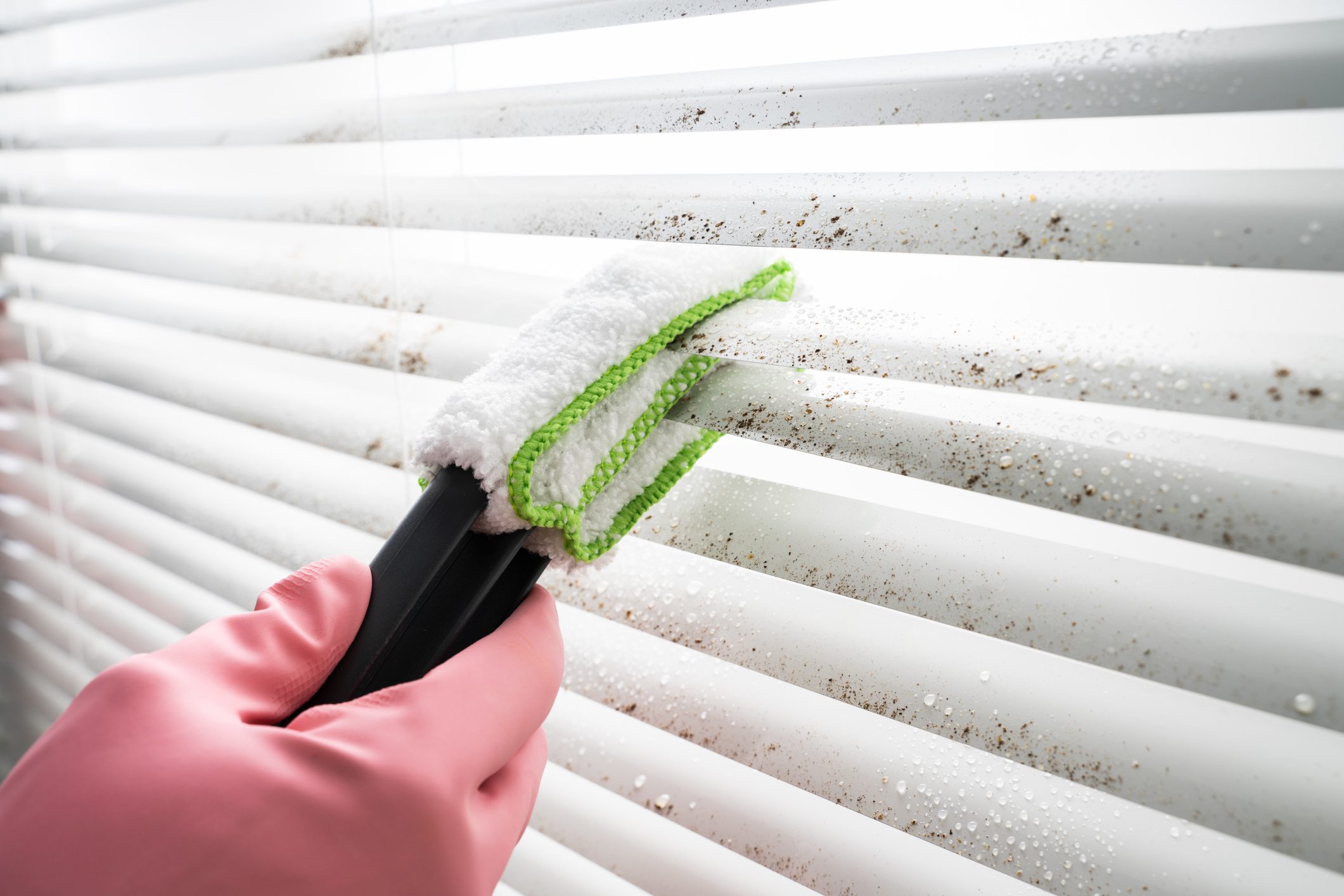 Person Cleaning Window Blinds