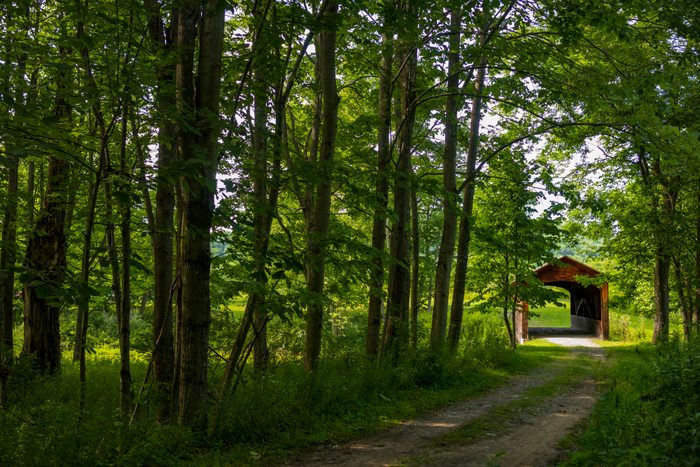 A wooden covered bridge stands amidst lush green trees, over a dirt path in a serene forest setting.