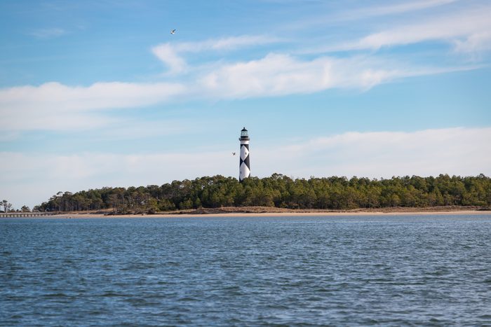 Lighthouse stands tall, overlooking a coastline with dense trees, under a blue sky with scattered clouds. A bird flies nearby.
