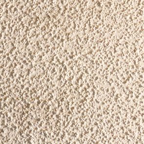 Rough, textured surface; densely packed bumps create an irregular pattern on a flat, beige background.
