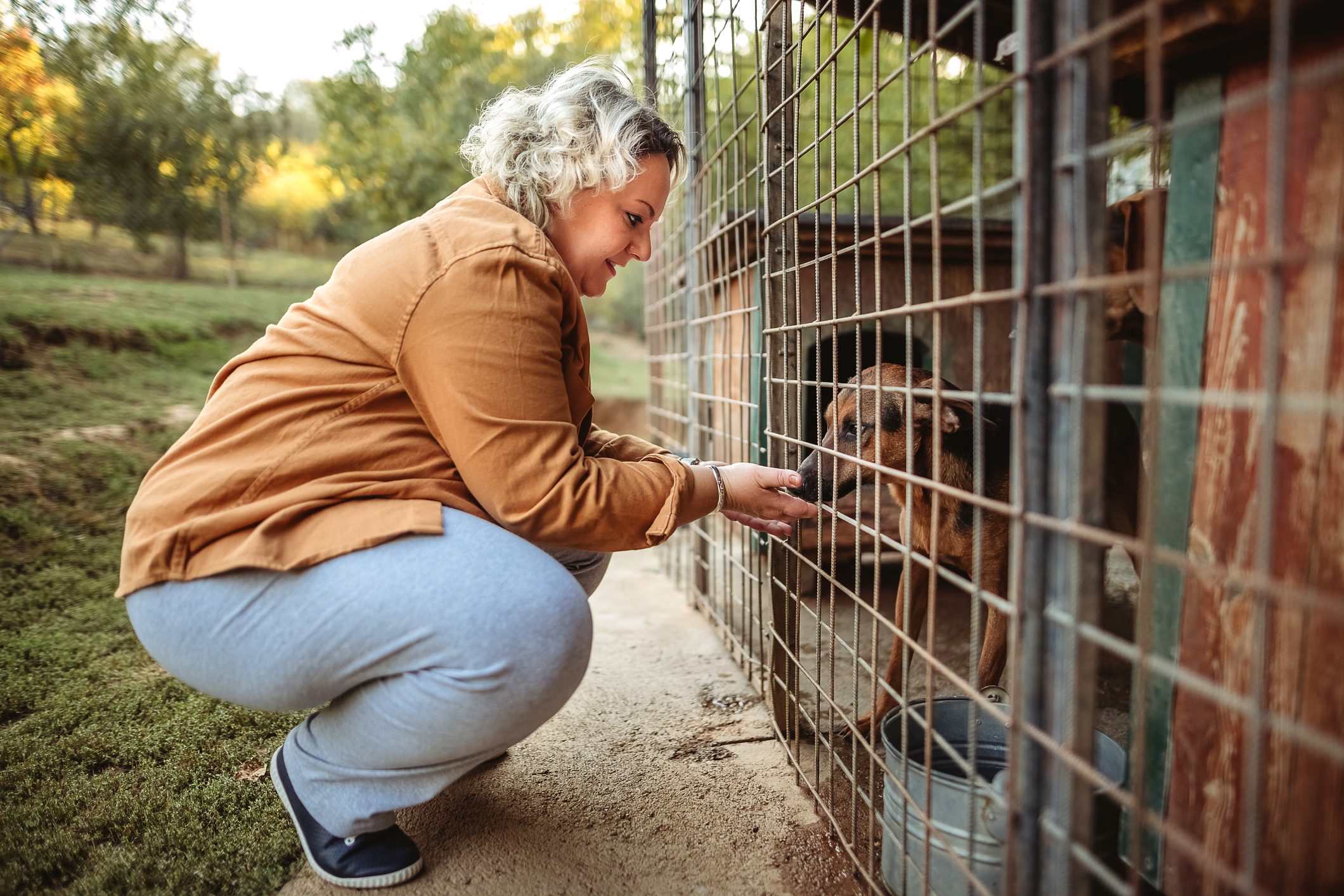 woman saying hi to a dog at a Dog shelter