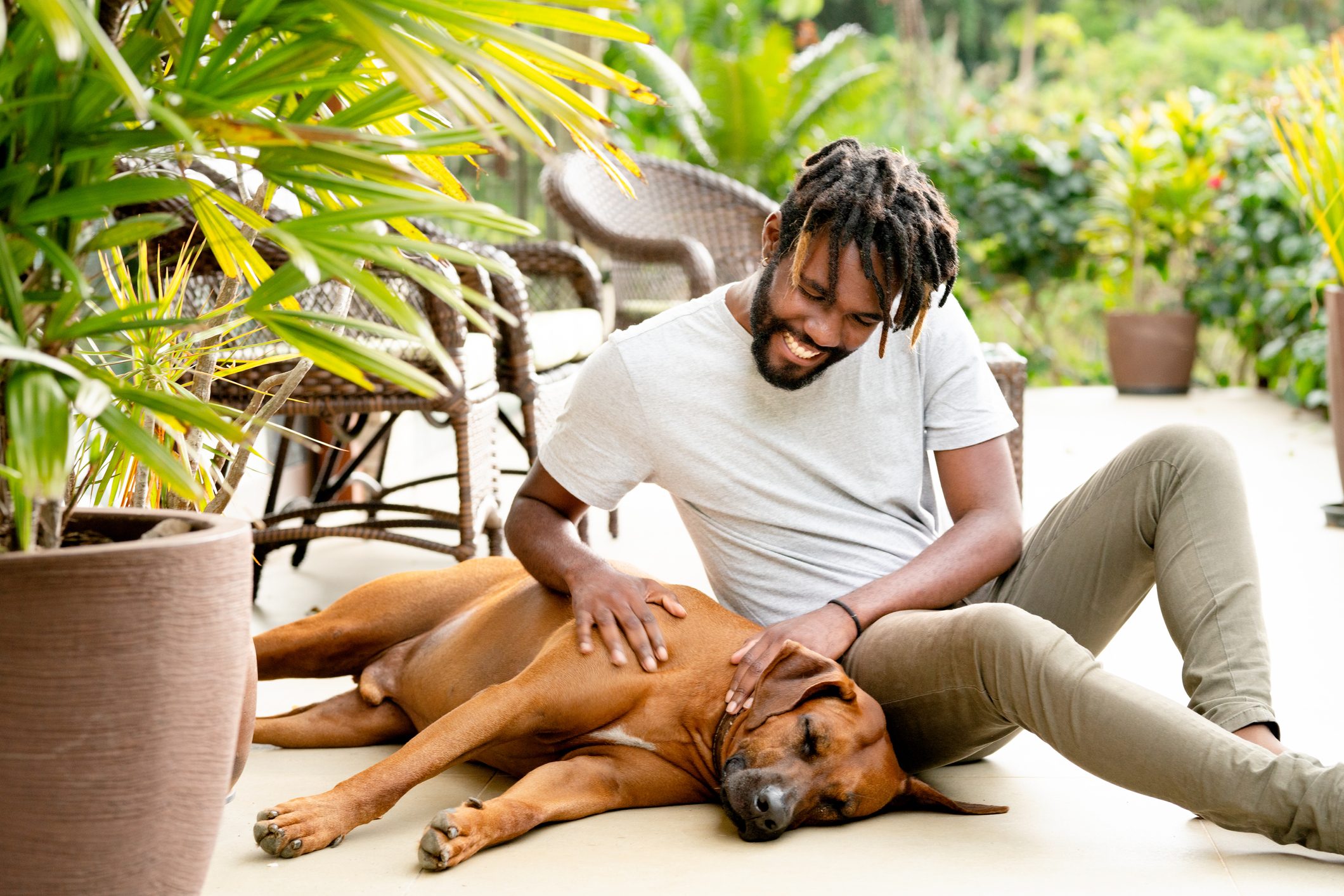 How to Adopt a Dog and Prepare for a New Dog’s Arrival