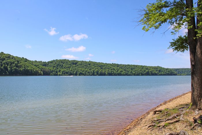 Calm lake rests in a wooded area, bordered by a sandy shore and trees under a clear blue sky.