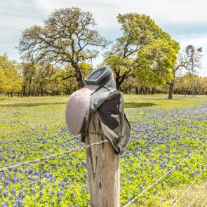 A cowboy hat rests on a fence post amidst a field of blue wildflowers, bordered by trees under a clear sky.