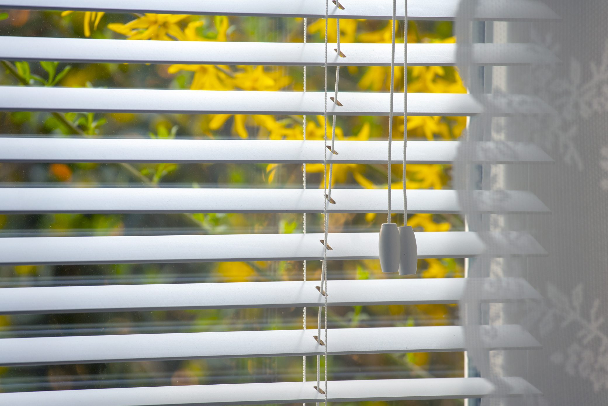vinyl blinds