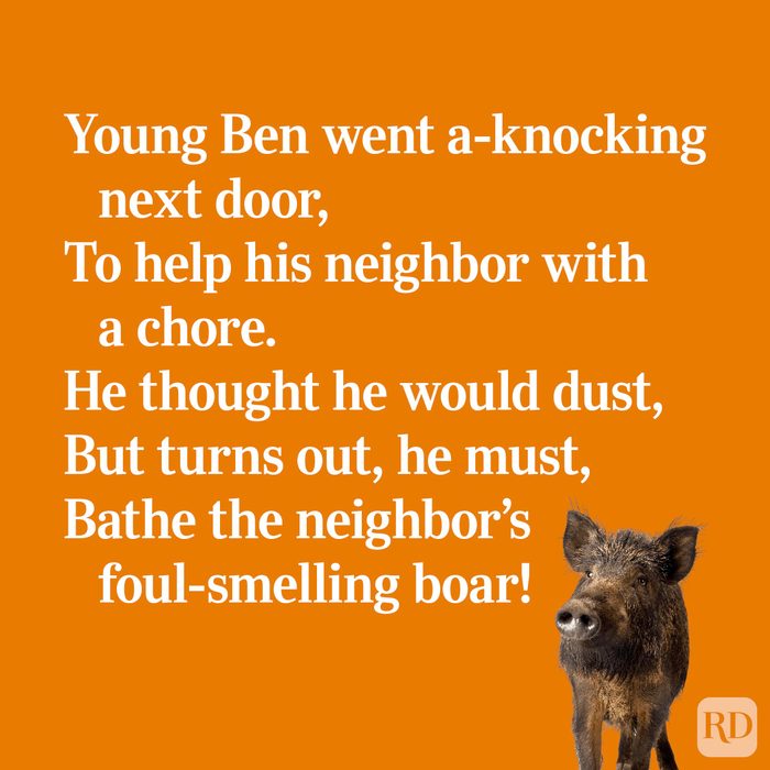 Funny Limerick