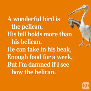 Pelican stands against an orange background alongside humorous poem about its large beak and feeding capacity.