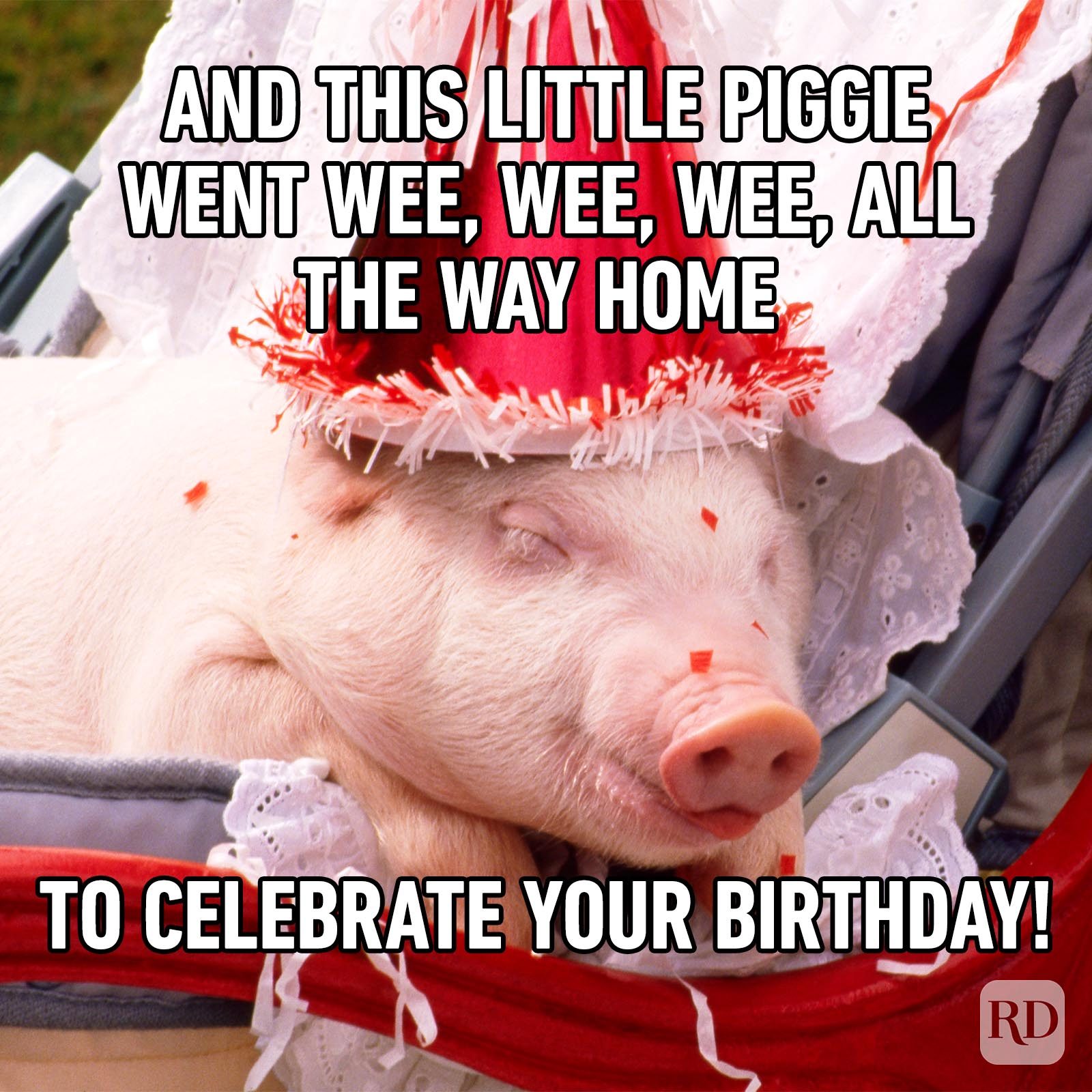 Birthday Memes 42