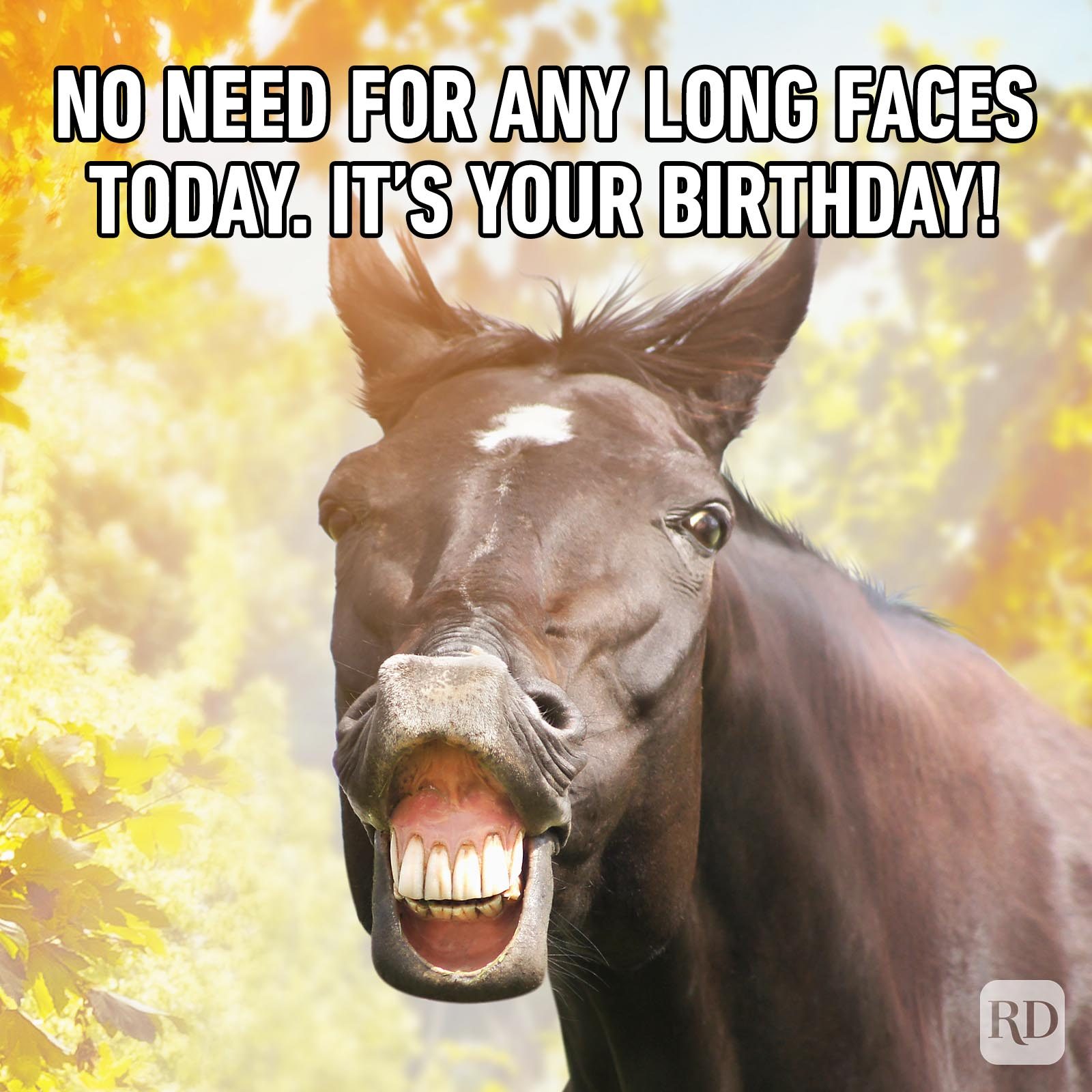 Birthday Memes 49