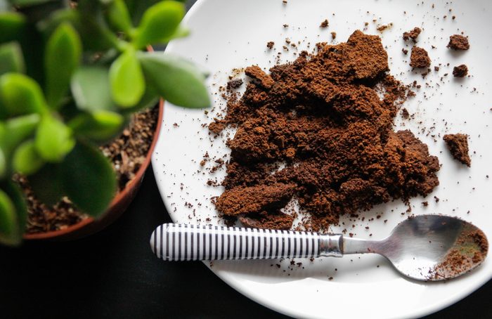 Coffee grounds