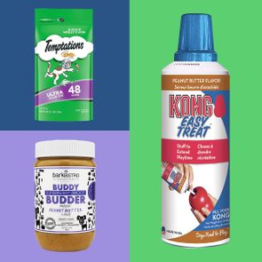 Three pet treat products displayed against vibrant backgrounds: Temptations cat treats, Buddy Budder peanut butter for dogs, and Kong Easy Treat peanut butter spray.