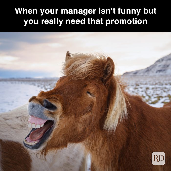 17 When Your Manager Isn't Funny But You Really Need That Promotion Gettyimages 882299664