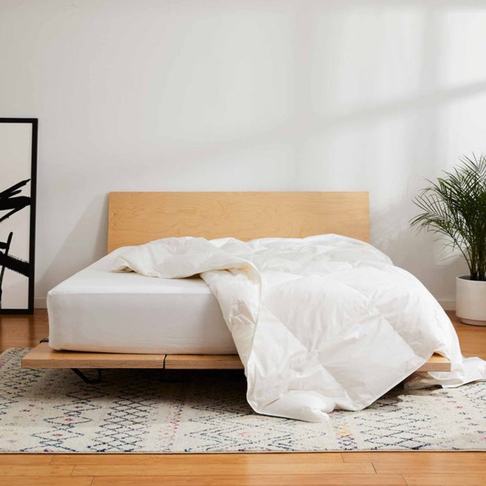 Bed with rumpled white bedding, situated on a patterned rug. A potted plant and abstract artwork frame the scene in a minimalist room.