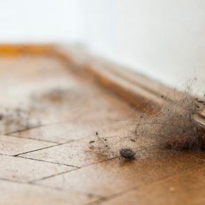 Dust ball rests in a corner on a wooden floor, adjacent to a white wall, surrounded by scattered debris.