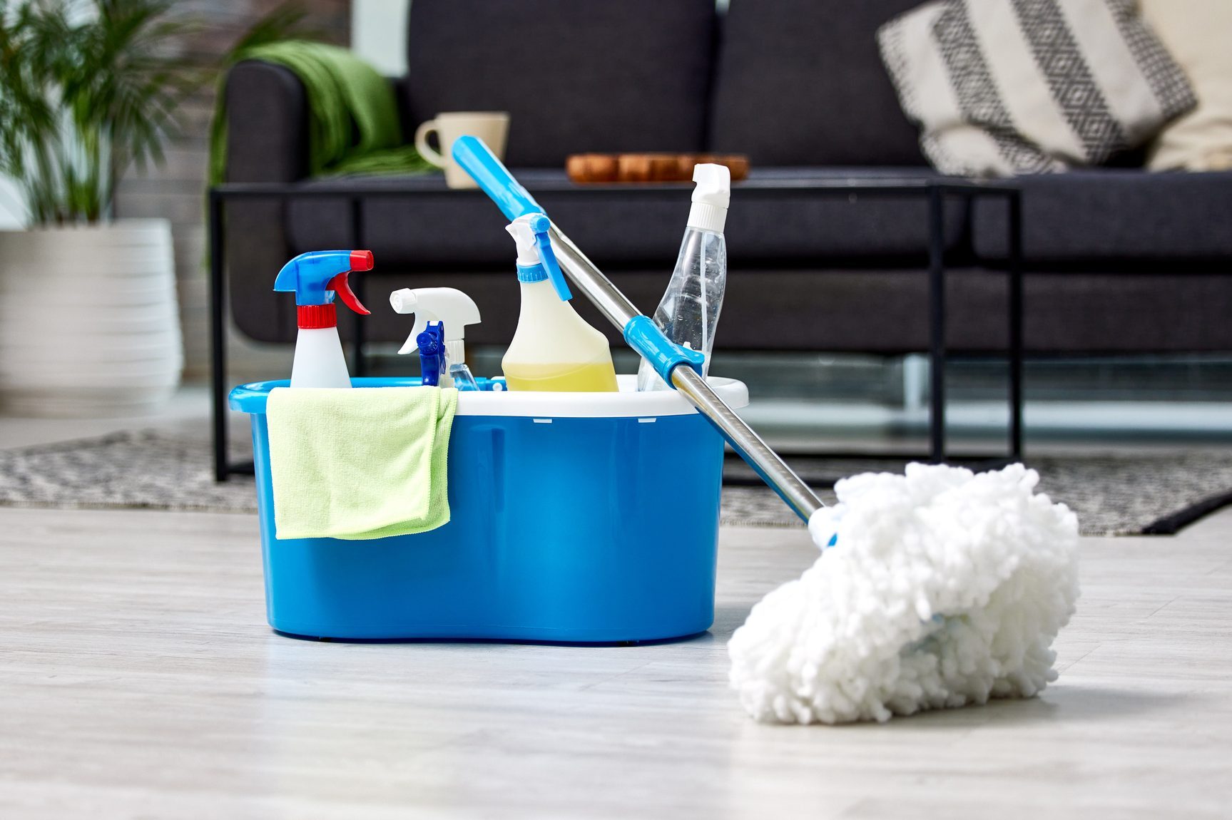 Shot of a bucket of cleaning supplies