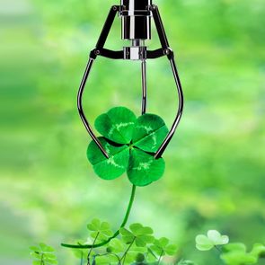A mechanical claw grasps a four-leaf clover, set against a soft-focus green background of leaves.