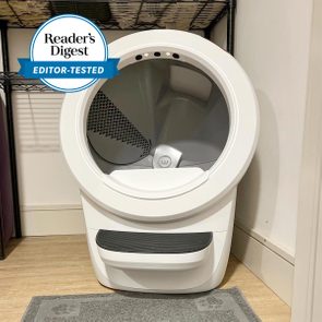 White automated litter box sits idle in a corner, surrounded by shelving. 