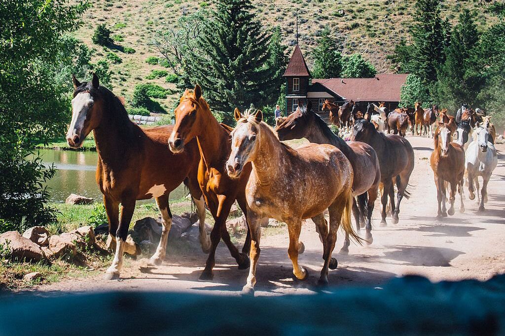 Cherokee Park Ranch