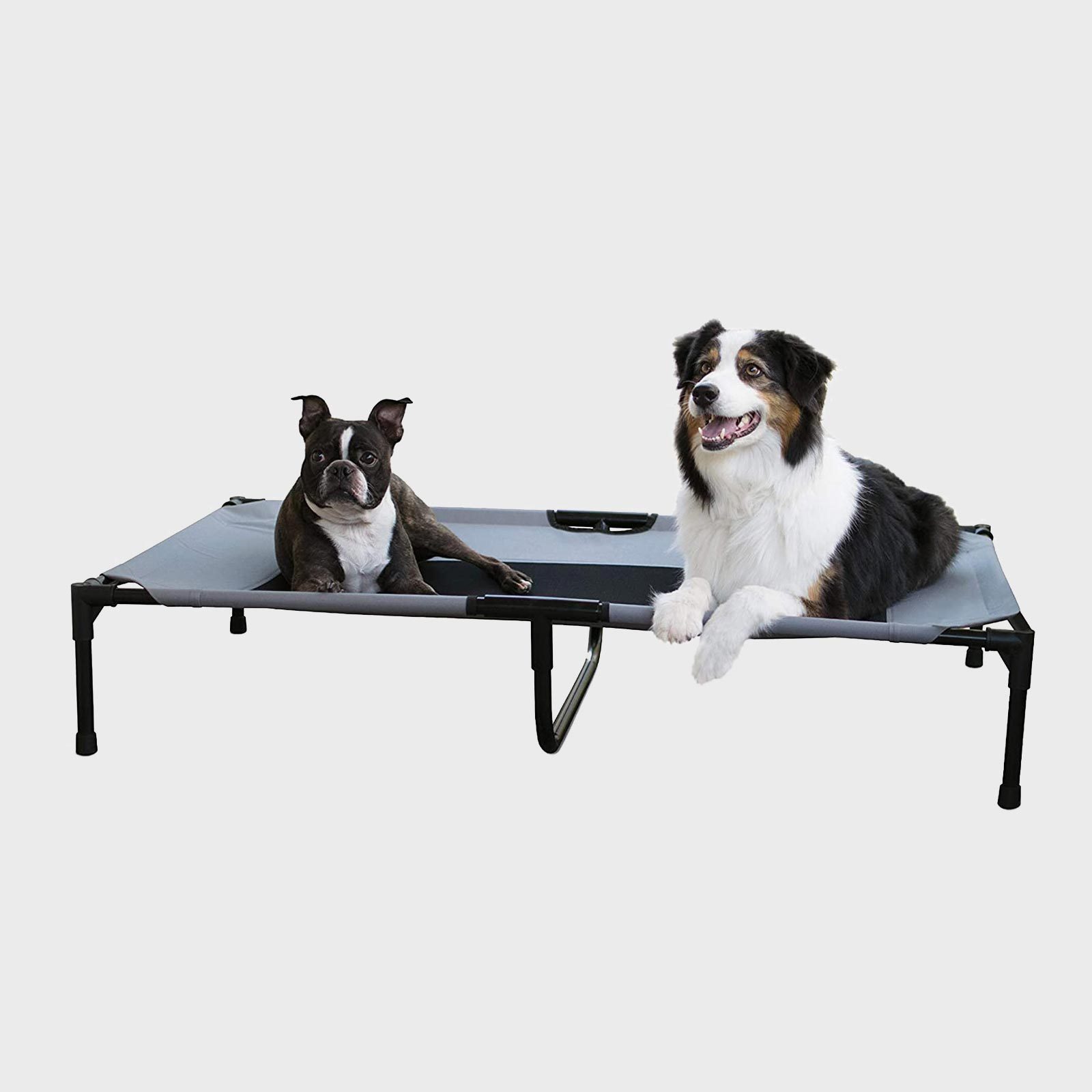 Cooling elevated dog bed