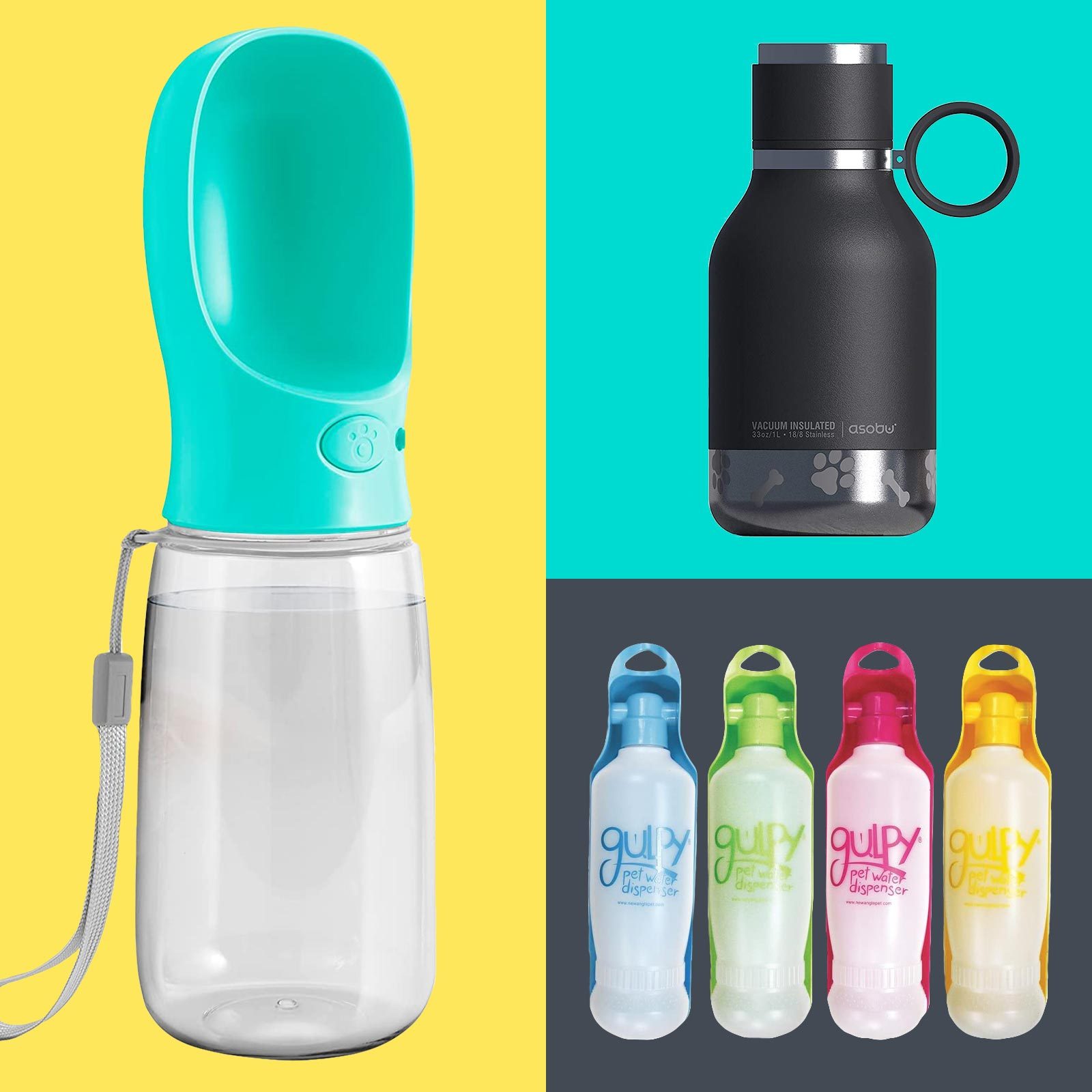 5 Best Portable Dog Water Bottles for Keeping Your Pup Hydrated This Summer