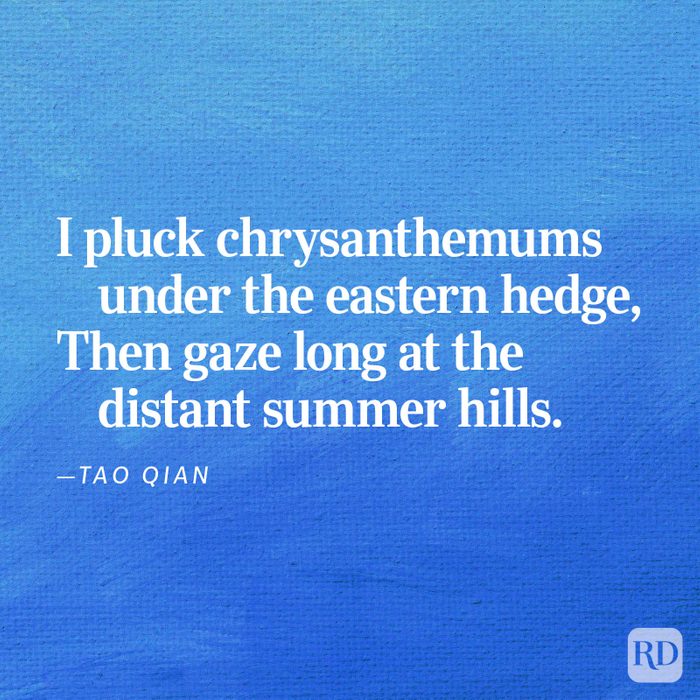 Short Poem 10 V2